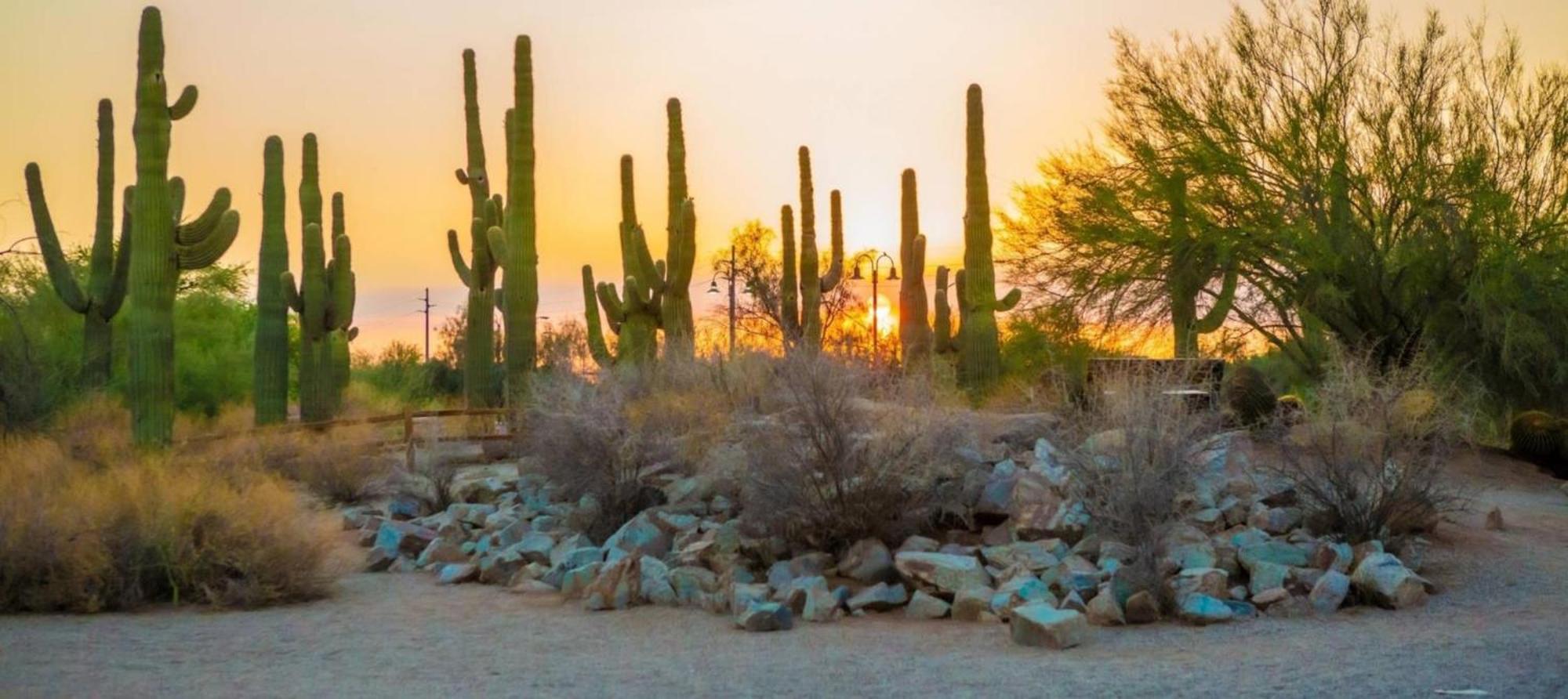 Express & - - East Mesa By Ihg 3*