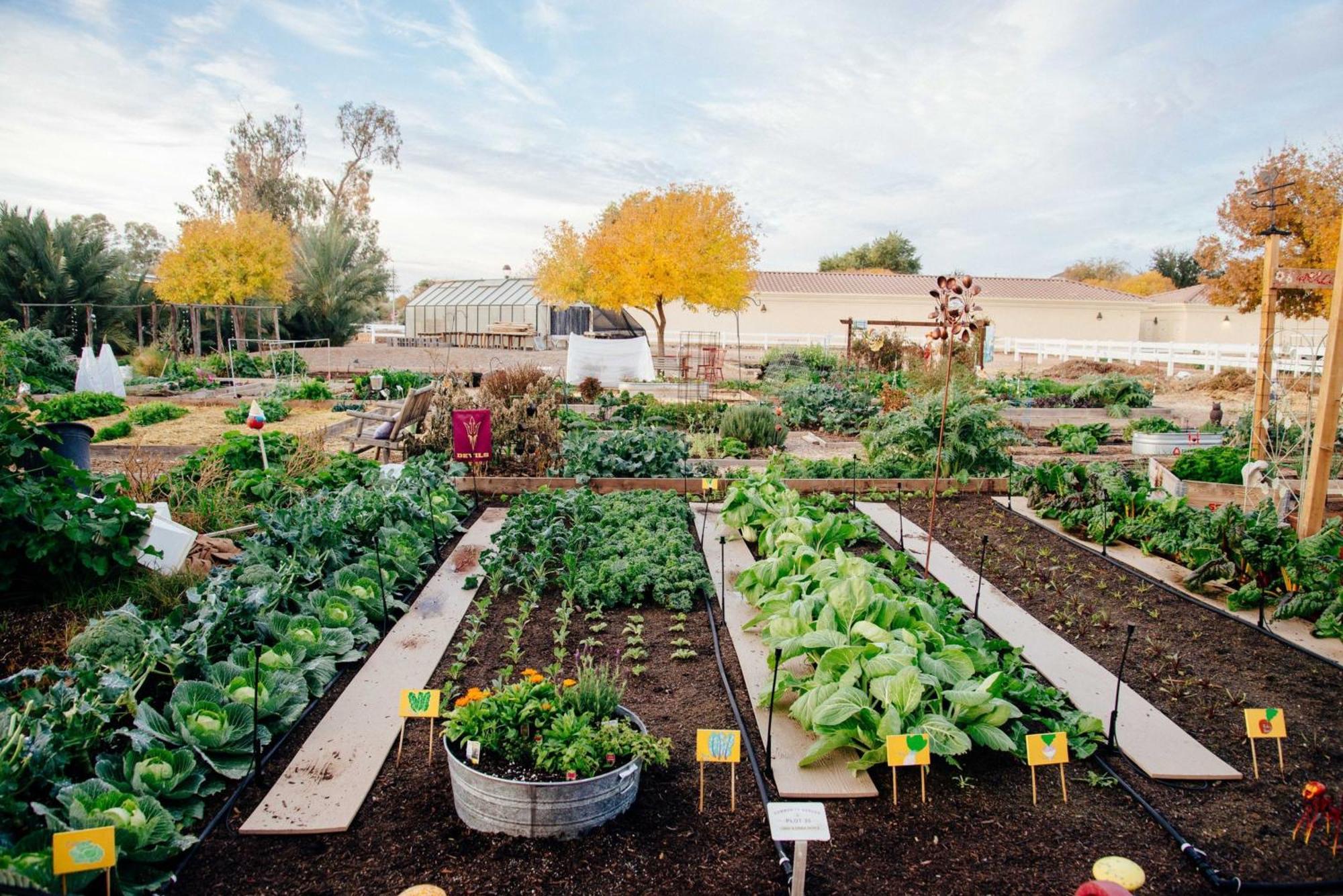 Express & - - East Mesa By Ihg 3* Gilbert